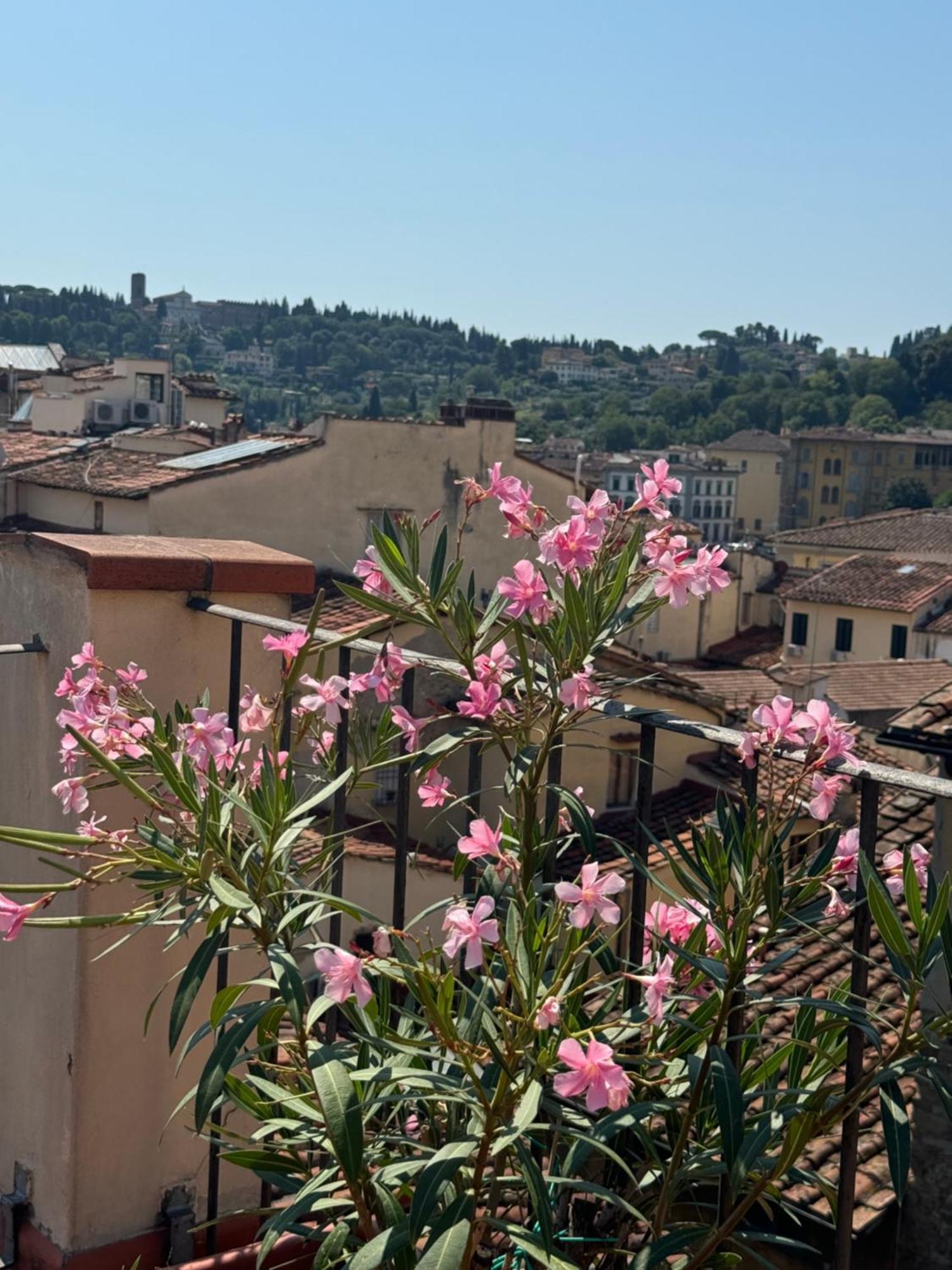 Firenze Panorama Suite & Terrace Экстерьер фото